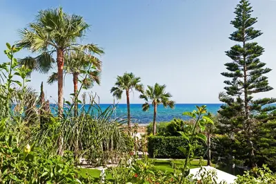 a view of the beach with palm trees and the ocean at Villa Polina in Ayia Napa