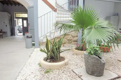 two palm trees in pots in a building at St. Lazaros Studios in Larnaka