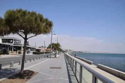 a sidewalk with a tree next to the water at Seascape 501 in Larnaka