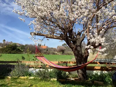 a hammock hanging from a tree in a field at Villa Grand Zeus in Anoyira
