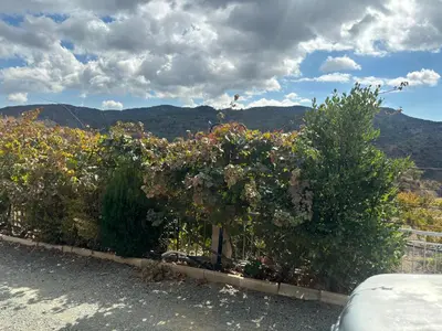 a garden with flowers on the side of a road at Sofros To Apomero in Ayios Pavlos