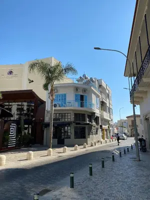 a street with a palm tree in front of a building at 2 bedroom apt in Ermou 4 minute walk beach in Larnaka