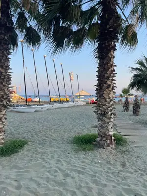 a row of palm trees on a sandy beach at SEA VIEW AMATHUS LUXURY APT in Limassol
