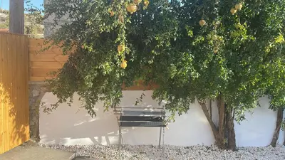 a bench under a tree next to a fence at Fig&Olive Luxury one bedroom boutique in Pachna in Limassol