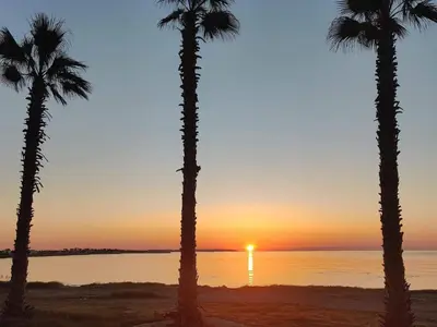 two palm trees on the beach at sunset at Palm garden paradise in Pervolia