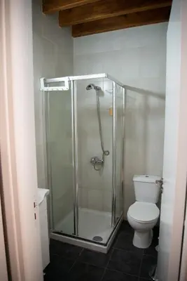 a bathroom with a shower and a toilet at Cleo's Inn in Lofou