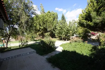 a garden with trees and a walkway at Alonia Villas in Pissouri