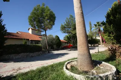 a palm tree in a stone circle next to a driveway at Alonia Villas in Pissouri