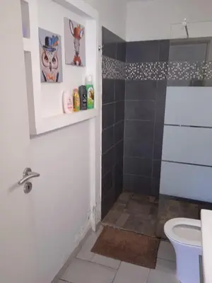 a bathroom with a shower and a toilet at Nicosia rest and relax 1 bedroom apartment in Nicosia