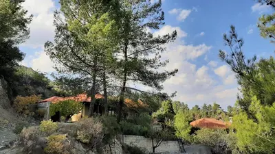 a house on a hill with trees at IRENE cottage in Kakopetria
