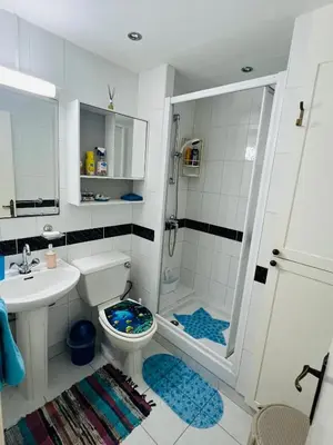 a bathroom with a toilet and a sink and a shower at TaniAndres apartments in Paralimni