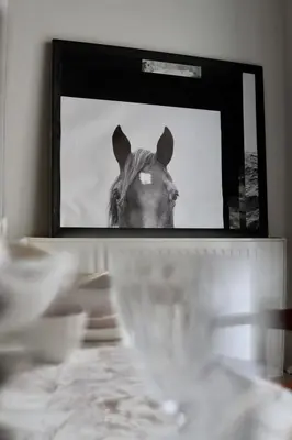 a horse is standing in front of a mirror at The Old Town Heritage House in Nicosia