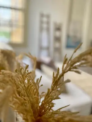 a close up of a plant on a table at The Old Town Heritage House in Nicosia