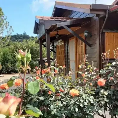 Kapilio Cottage House