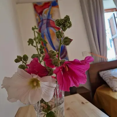 a vase filled with pink and white flowers on a table at THE ROCK HOUSE - Beautiful countryside with mandarins oranges and olive trees,. Near Limassol at Eptagonia village. in Ephtagonia