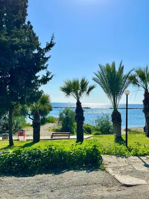 a park with palm trees and a bench and the ocean at Dream Beachfront Bungalow in Limassol