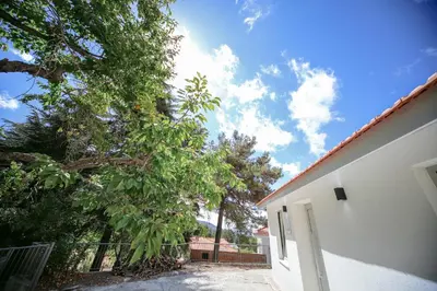 a tree next to a white building with a fence at Legacy 1930s in Prodromos