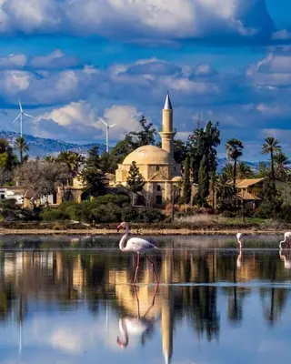 a bird standing in the water in front of a mosque at STEFARIS PROPERTIES 