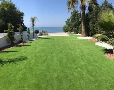 a green lawn with palm trees and the ocean at Beach Front Periyiali Gardens in Pervolia