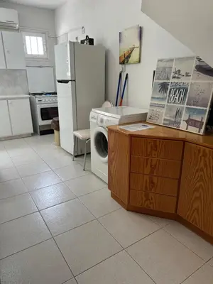 a kitchen with a refrigerator and a washing machine at Leonidas Seaside in Meneou