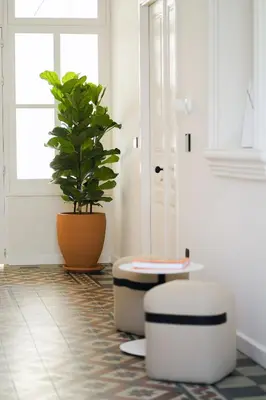 a room with two stools and a potted plant at Heart Hotel in Limassol