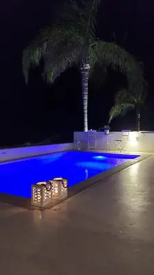 a swimming pool at night with a palm tree at Narcissus 19 in Paralimni